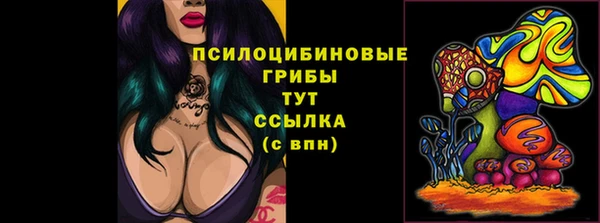 прущие грибы Верхнеуральск