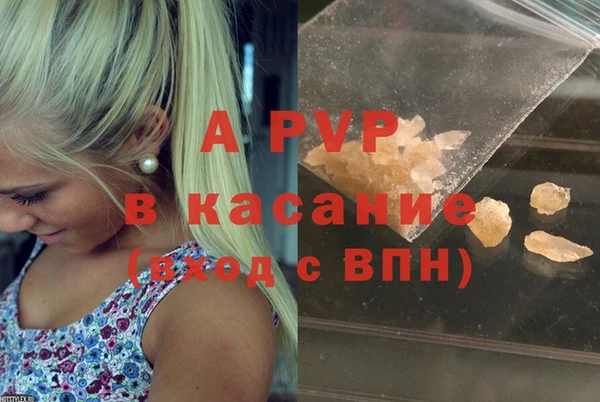 прущие грибы Верхнеуральск