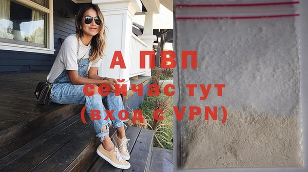 прущие грибы Верхнеуральск