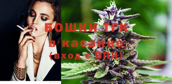 стаф Богданович