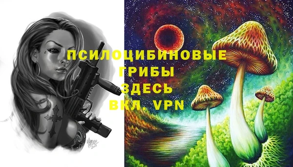 амф Богородицк