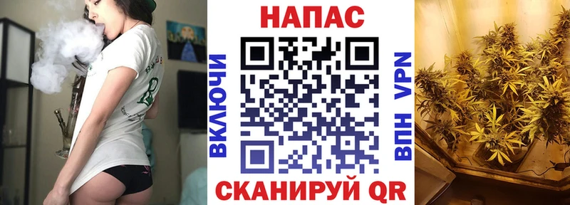 ссылка на мегу зеркало  Новоржев  Марихуана план 